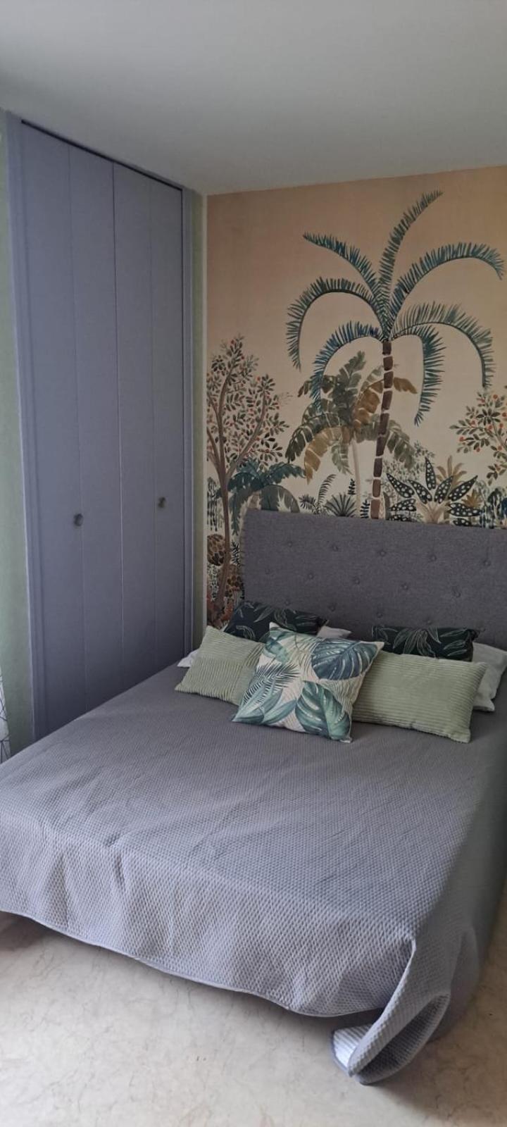 Studio Phannie Renove 50M Cures Amélie-les-Bains-Palalda Eksteriør billede