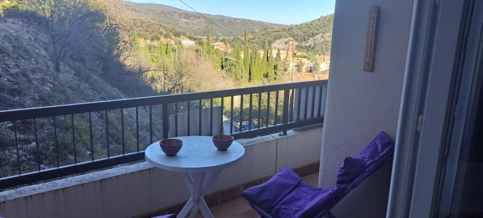 Studio Phannie Renove 50M Cures Amélie-les-Bains-Palalda Eksteriør billede